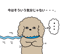 The pooh of Toy Poodle sticker #10631681