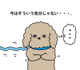 The pooh of Toy Poodle sticker #10631681