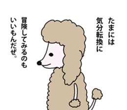 The pooh of Toy Poodle sticker #10631684