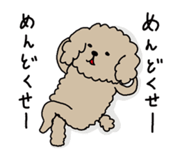The pooh of Toy Poodle sticker #10631691