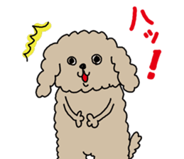 The pooh of Toy Poodle sticker #10631692