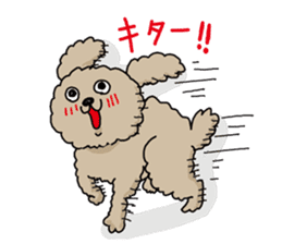 The pooh of Toy Poodle sticker #10631695
