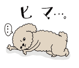 The pooh of Toy Poodle sticker #10631696