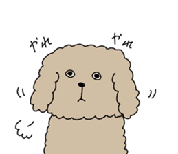The pooh of Toy Poodle sticker #10631700