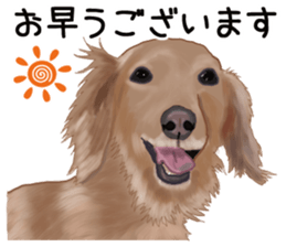 Dachs Fan sticker #10631952