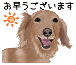 Dachs Fan sticker #10631952