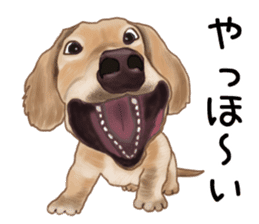 Dachs Fan sticker #10631954