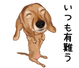 Dachs Fan sticker #10631956