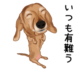 Dachs Fan sticker #10631956