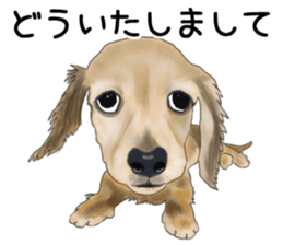 Dachs Fan sticker #10631957