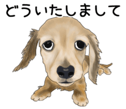 Dachs Fan sticker #10631957