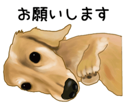 Dachs Fan sticker #10631958