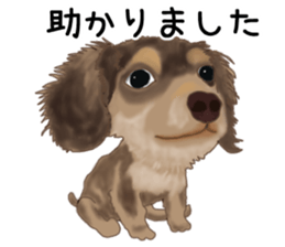 Dachs Fan sticker #10631959