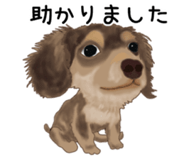 Dachs Fan sticker #10631959