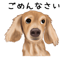 Dachs Fan sticker #10631960