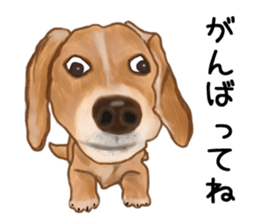 Dachs Fan sticker #10631963