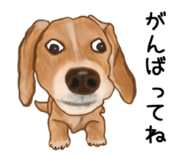 Dachs Fan sticker #10631963