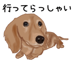 Dachs Fan sticker #10631964