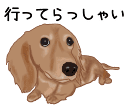 Dachs Fan sticker #10631964