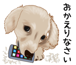 Dachs Fan sticker #10631965