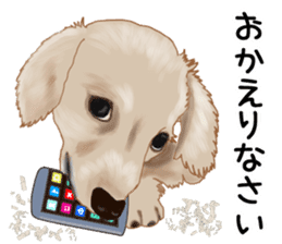 Dachs Fan sticker #10631965