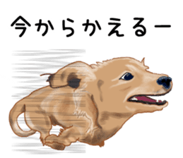 Dachs Fan sticker #10631966