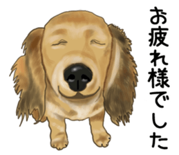 Dachs Fan sticker #10631967