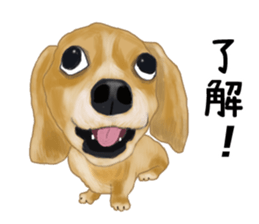 Dachs Fan sticker #10631968