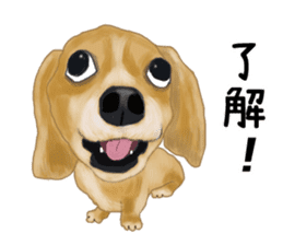 Dachs Fan sticker #10631968