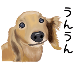 Dachs Fan sticker #10631970