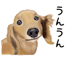 Dachs Fan sticker #10631970