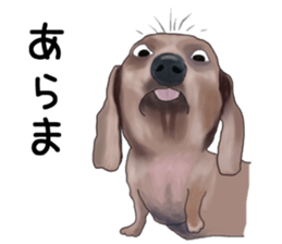 Dachs Fan sticker #10631971