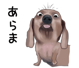 Dachs Fan sticker #10631971