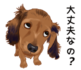 Dachs Fan sticker #10631972