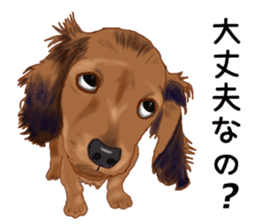 Dachs Fan sticker #10631972