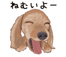 Dachs Fan sticker #10631973