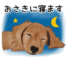 Dachs Fan sticker #10631974