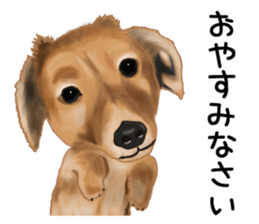 Dachs Fan sticker #10631975