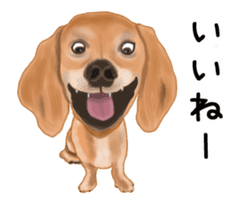 Dachs Fan sticker #10631978