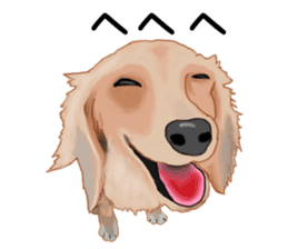 Dachs Fan sticker #10631980