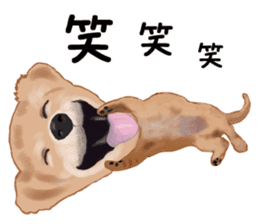 Dachs Fan sticker #10631981