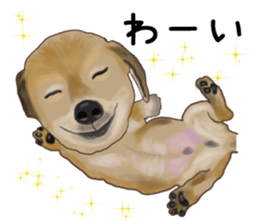 Dachs Fan sticker #10631982