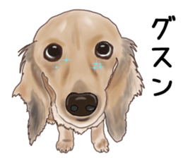 Dachs Fan sticker #10631983