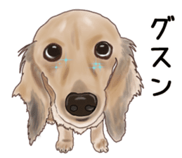 Dachs Fan sticker #10631983