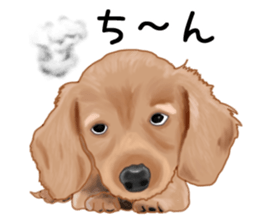 Dachs Fan sticker #10631984