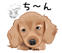 Dachs Fan sticker #10631984