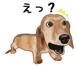 Dachs Fan sticker #10631987