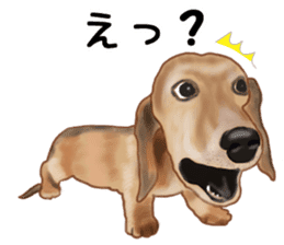 Dachs Fan sticker #10631987