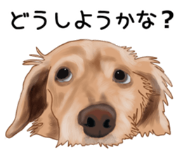 Dachs Fan sticker #10631988