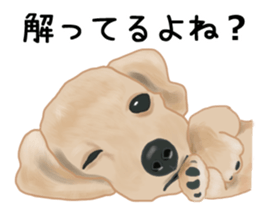 Dachs Fan sticker #10631990